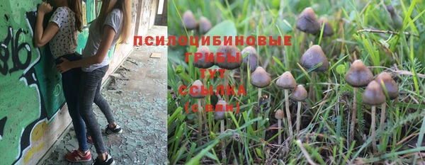 MDMA Premium VHQ Касимов