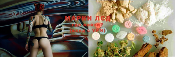 гидропоника Богородицк
