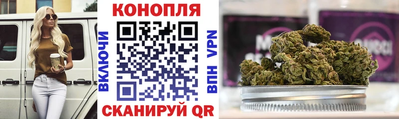 KRAKEN ONION  Кондрово  Бошки марихуана конопля 